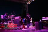 The Roots