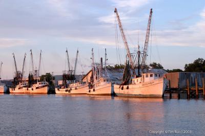 02819 Shrimp Boats