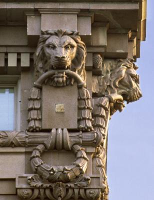 Lions, Seattle, Washington