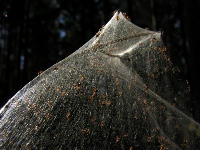 DSCN2105.JPG