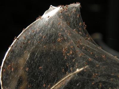 DSCN2114.JPG