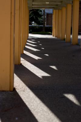 u49/tmyau/medium/40830506.CRW_3647.jpg