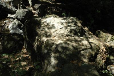 rock in dappled tree shade