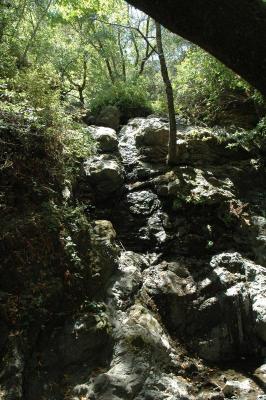 the cascade