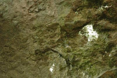 reflecting stone