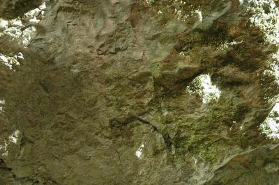reflecting stone
