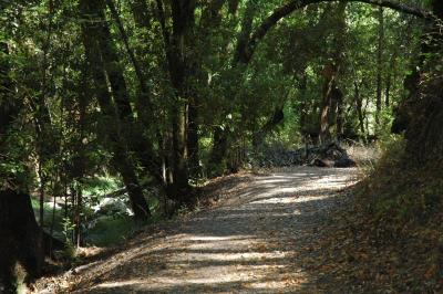 the way back