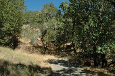 the way back