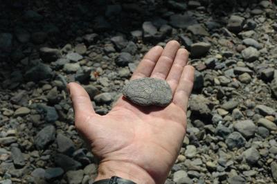striped rock