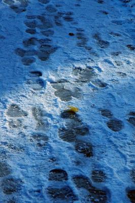 snow on sidewalk