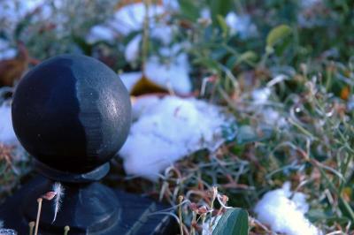 iron fencetop, snow on bush