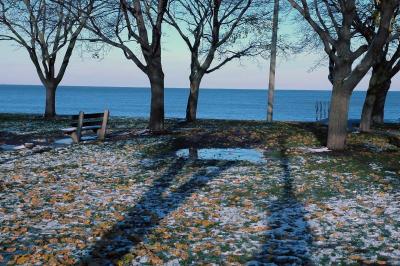 snow on grass, icy puddle
