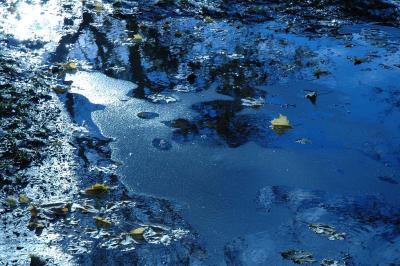 icy puddle