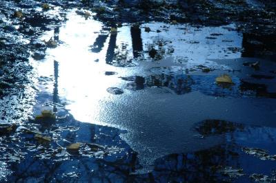 icy puddle
