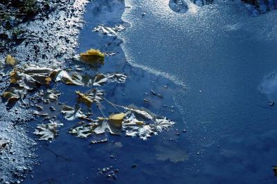 icy puddle