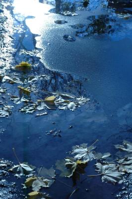 icy puddle