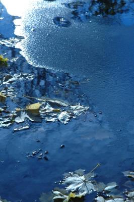 icy puddle