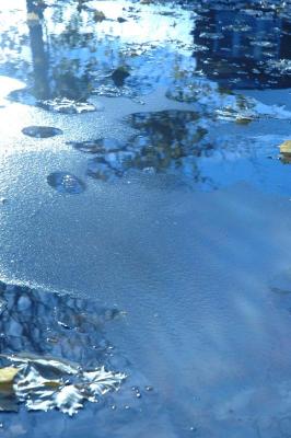icy puddle