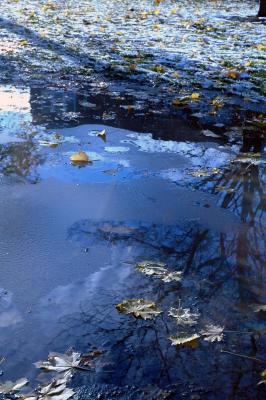 icy puddle