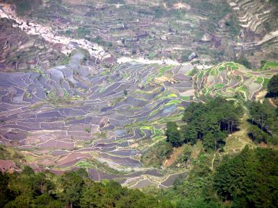 Kiltipan view 3.JPG