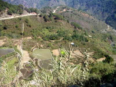 roadside view 1.JPG
