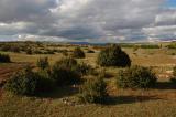 Larzac Plateau 1