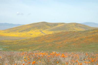 DSC_5751a.jpg