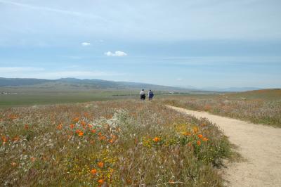 DSC_5779a.jpg