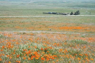 DSC_5781a.jpg