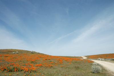 DSC_5835a.jpg