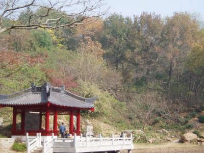 Pb070182.jpg