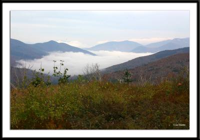 u49/traderboynh/medium/34857219.foliage0869.jpg