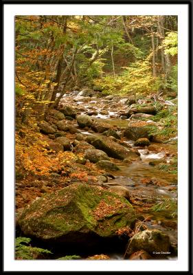 Foliage in White Mountain National Park and the surrounding area, October 9, 2004.