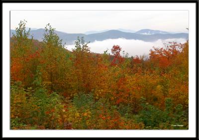 Foliage in White Mountain National Park and the surrounding area, October 9, 2004.