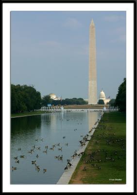 washington-0644.jpg
