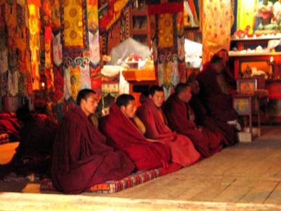 Monks praying in Langmusi