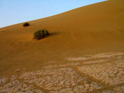 sand dunes and dry earth