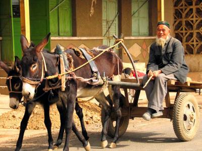 Ubiquitous donkey cart in Xinjiang