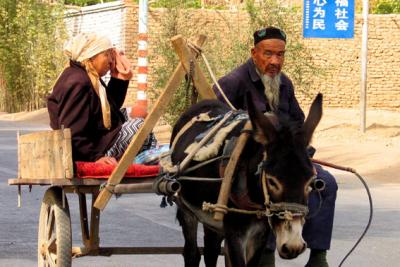 Couple on cart