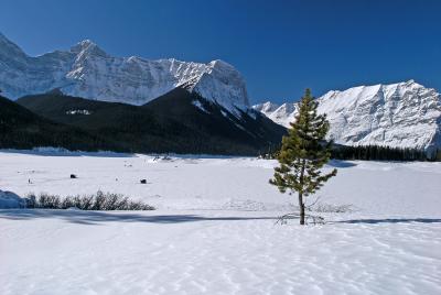 Ice fishing on Upper Kananaskis Lake II