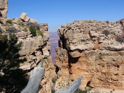 A cool spot to climb to, on the rim of the Canyon