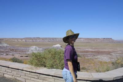 Overlooking the Painted Desert