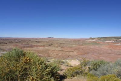 A last look at the Painted Desert