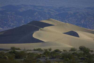 Amazing dunes