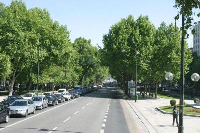 Tree-lined boulevard in Lisbon