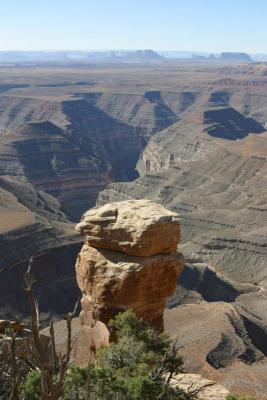 Looking down at the Goose Necks of the San Juan River