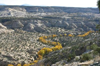 Calf Creek in the canyon below