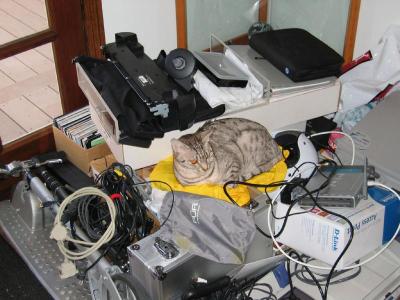 Billy LOVES 'stuff' and field trips in the garage