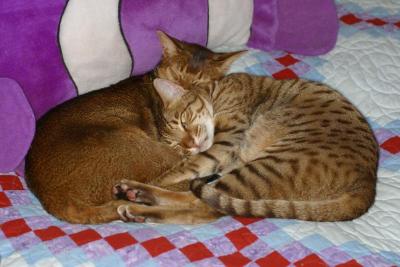 Best friends (for a while)