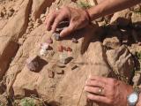 Some of the potshards he found